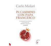 In cammino con papa Francesco. Evangelii Gaudium, Laudato si', Am