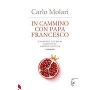 In cammino con papa Francesco. Evangelii Gaudium, Laudato si', Amoris laetitia. Commenti
