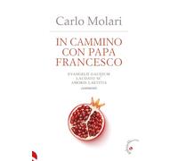 In cammino con papa Francesco. Evangelii Gaudium, Laudato si', Amoris laetitia. Commenti