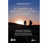 In cammino con tre santi, un beato e un poeta. Itinerari per trekking sui monti intorno al Casentino sulle orme di San Francesco, San Romualdo, San Giovanni Gualberto, Guido Monaco, Dante Alighieri
