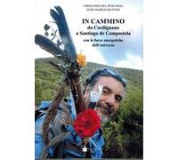 In cammino da Cordignano a Santiago de Compostela con le forze energetiche dell'universo