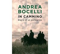 In cammino. Diario di un pellegrino
