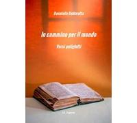 In cammino per il mondo. Versi poliglotti. Ediz. multilingue