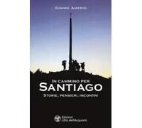 In cammino per Santiago. Storie, pensieri, incontri - Amerio Gianni