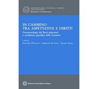 In cammino tra aspettative e diritti. Fenomenologia dei flussi migratori e condizione giuridica dello straniero