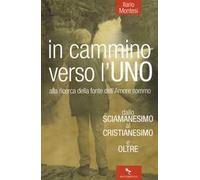 In cammino verso l'Uno. Dallo sciamanesimo al cristianesimo e oltre. Alla ricerca della fonte dell'immenso amore