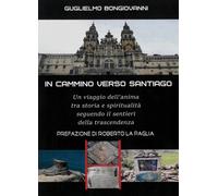 In cammino verso Santiago. Un viaggio dell'anima, tra storia e spiritualit...