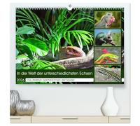 In der Welt der unterschiedlichsten Echsen (hochwertiger Premium Wandkalender 2026 DIN A2 quer), Kunstdruck in Hochglanz: Die direkten Nachkommen der Saurier