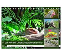 In der Welt der unterschiedlichsten Echsen (Tischkalender 2026 DIN A5 quer), CALVENDO Monatskalender: Die direkten Nachkommen der Saurier