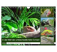 In der Welt der unterschiedlichsten Echsen (Wandkalender 2026 DIN A4 quer), CALVENDO Monatskalender: Die direkten Nachkommen der Saurier