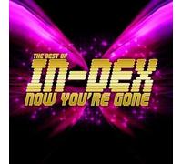 In-Dex - Best Of-Now You'Re Gone
