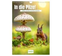 In die Pilze (Wandkalender 2027 DIN A4 hoch), CALVENDO Monatskalender