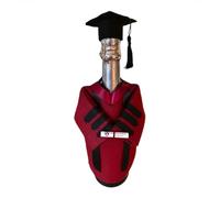 in feltro per bottiglie di fine anno, con cappello, con nappe, decorazione