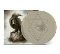 In Flames Sounds of a Playground Fading (Vinyl LP)