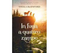 In fuga a quattro zampe