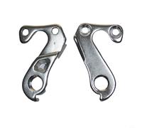 In lega di alluminio per bicicletta, cambio posteriore, supporto per ingranaggi, colore argento, per Spicy Zesty Raid X-Control con 2 viti per riparazione e manutenzione della mountain bike