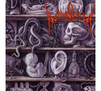 In Memorium - Lost To Antiquity