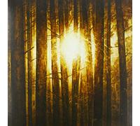 In Mourning - Echoes Volume 1