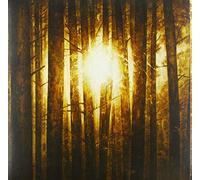 In Mourning - Echoes Volume 2