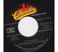 In Paradise/I'd Like To Thank You Mr D.J. (NM 45 rpm)