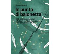 In punta di baionetta. 1860-1870: le vittime militari della Guerra Meridionale nascoste nell'Archivio di Stato di Torino