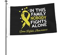 In questa famiglia nessuno combatte da solo - Bandiera di sensibilizzazione sulla spina bifida, 2x3 piedi, bandiere luminose