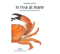 In riva al mare. Guida pratica per esploratori di litorali