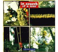 In Search of a Rose - Fresh Lotus Surprise