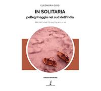 In solitaria. Pellegrinaggio nel sud dell'India