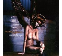 IN STRICT CONFIDENCE - MISTRUST THE ANGELS