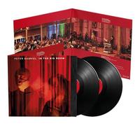 Peter Gabriel - In the Big Room