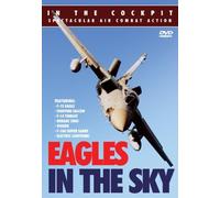 In the Cockpit: Eagles in the Sky