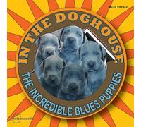 In The Doghouse