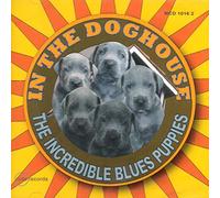 In The Doghouse by The Incredible Blues Puppies