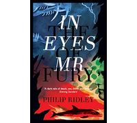 Philip Ridley In the Eyes of Mr Fury (Tascabile)