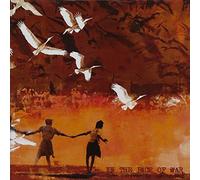 In The Face Of War - Live Forever Or Die