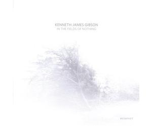 In The Fields Of Nothing - Kenneth James Gibson (Audio CD)