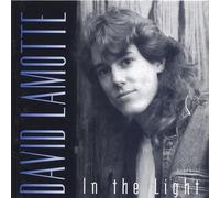 In the Light by David Lamotte