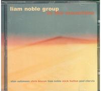 In the Meantime (CD) Album