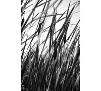 In the Middle of Nowhere Somewhere: And Other Stories