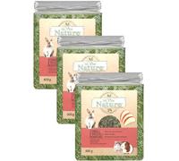 In the Nature Fieno con Mela per Roditori KIT RISPARMIO 3x600G