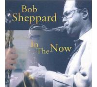 Bob Sheppard - In the Now