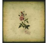 In The Pines In the Pines (CD) Album