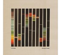 In the Pines - Painting By Numbers - Orange