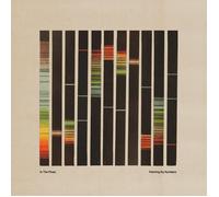 In the Pines - Painting By Numbers - Orange