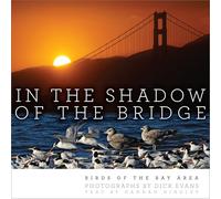 In the Shadow of the Bridge: Birds of the Bay Area