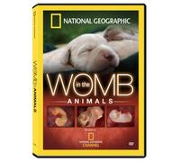 In the Womb: Animals