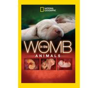 In The Womb: Animals (DVD)