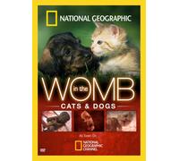 In the Womb: Cats & Dogs
