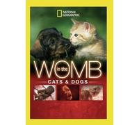 In The Womb: Cats & Dogs (DVD)